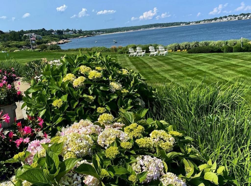 Lakeside garden with hydrangeas, green lawn, and white chairs under a bright blue sky