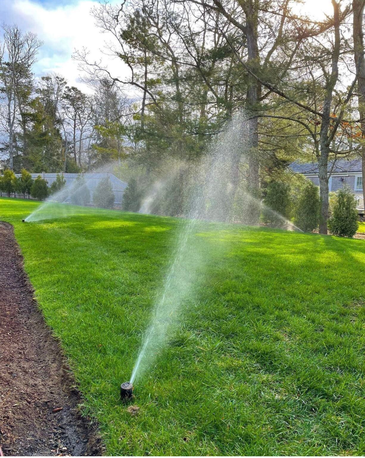 Lawn sprinkler spraying water over a green grassy yard near trees and a mulch border
