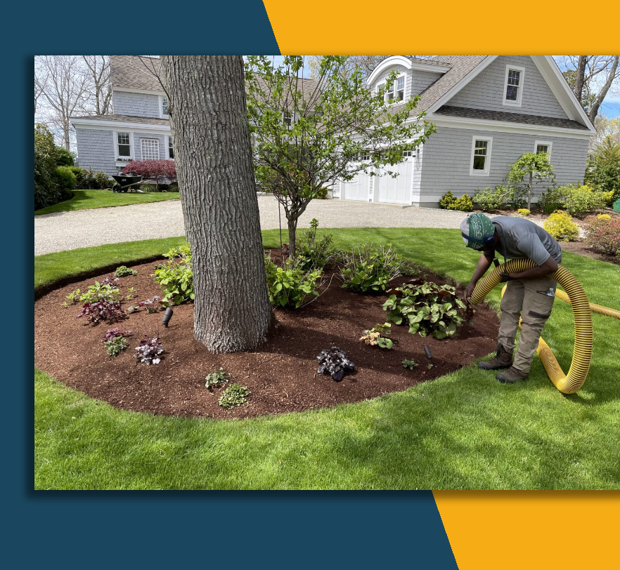 Worker using a leaf blower around a landscaped tree bed in a suburban yard