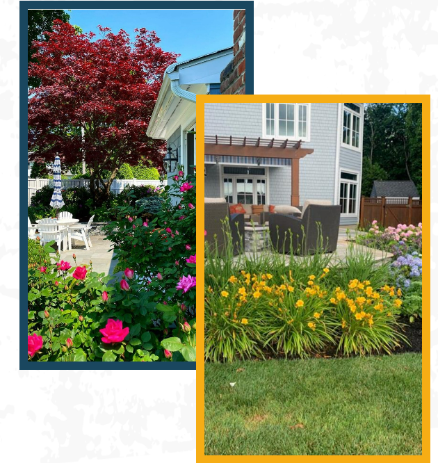 Two garden photos with colorful flowers, a red tree, and a house patio in bright sunlight
