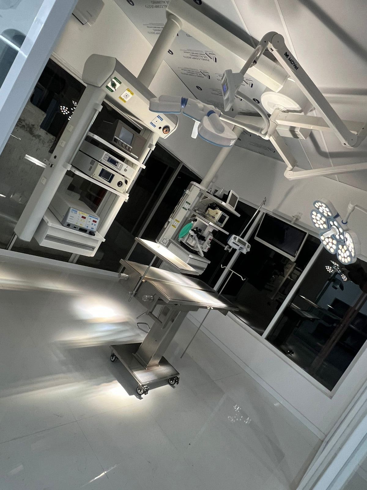 Laboratorio e imagenología veterinaria