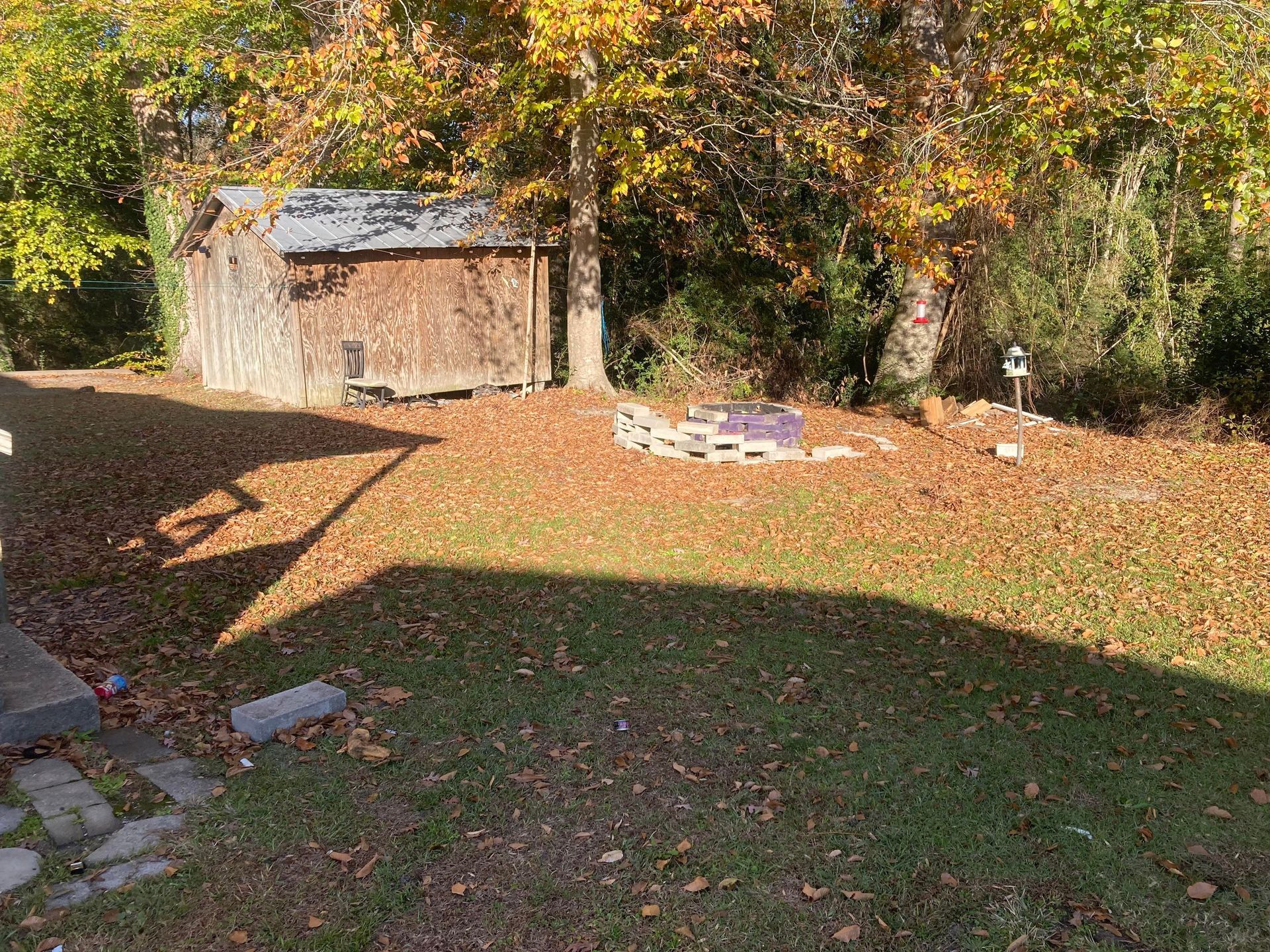 A weathered shed sits in a grassy, leaf-covered backyard on a sunny autumn day.