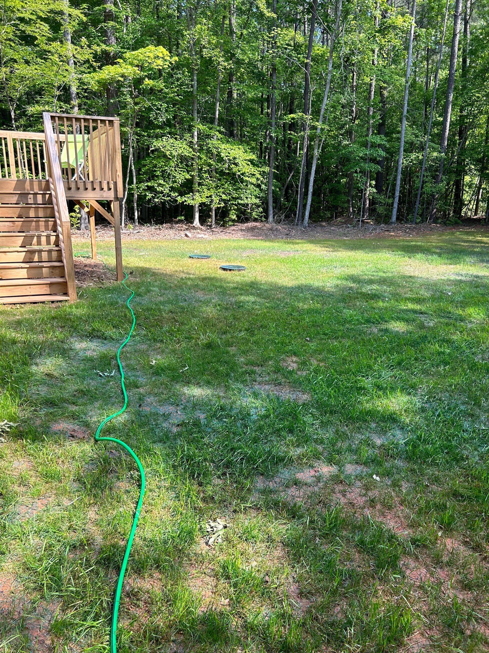 A green garden hose snakes across a patchy, sunlit lawn toward a wooden deck edge with a forest in the background.