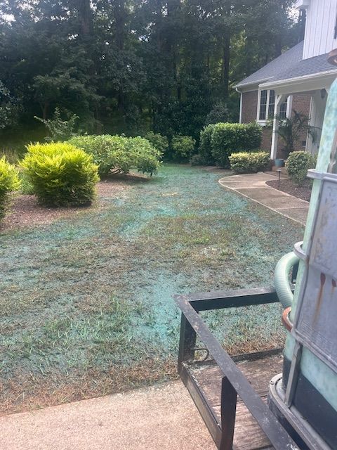 A yard freshly sprayed with bright blue hydroseed, with green shrubs and a portion of a house visible in the background.