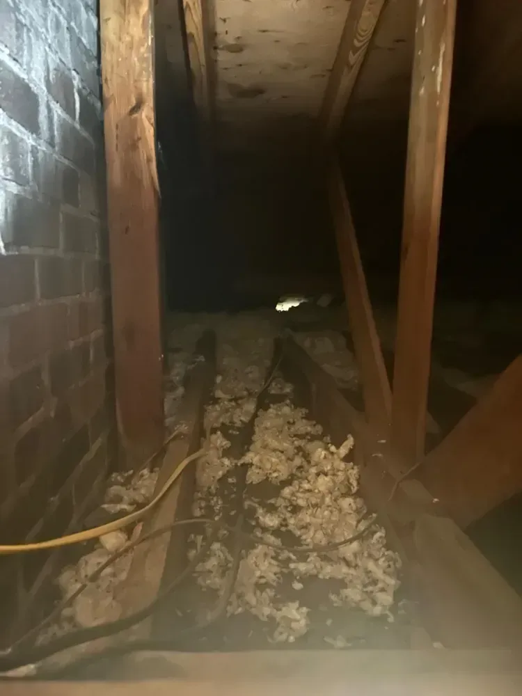 Dark crawlspace with exposed insulation between wooden beams and a brick wall.