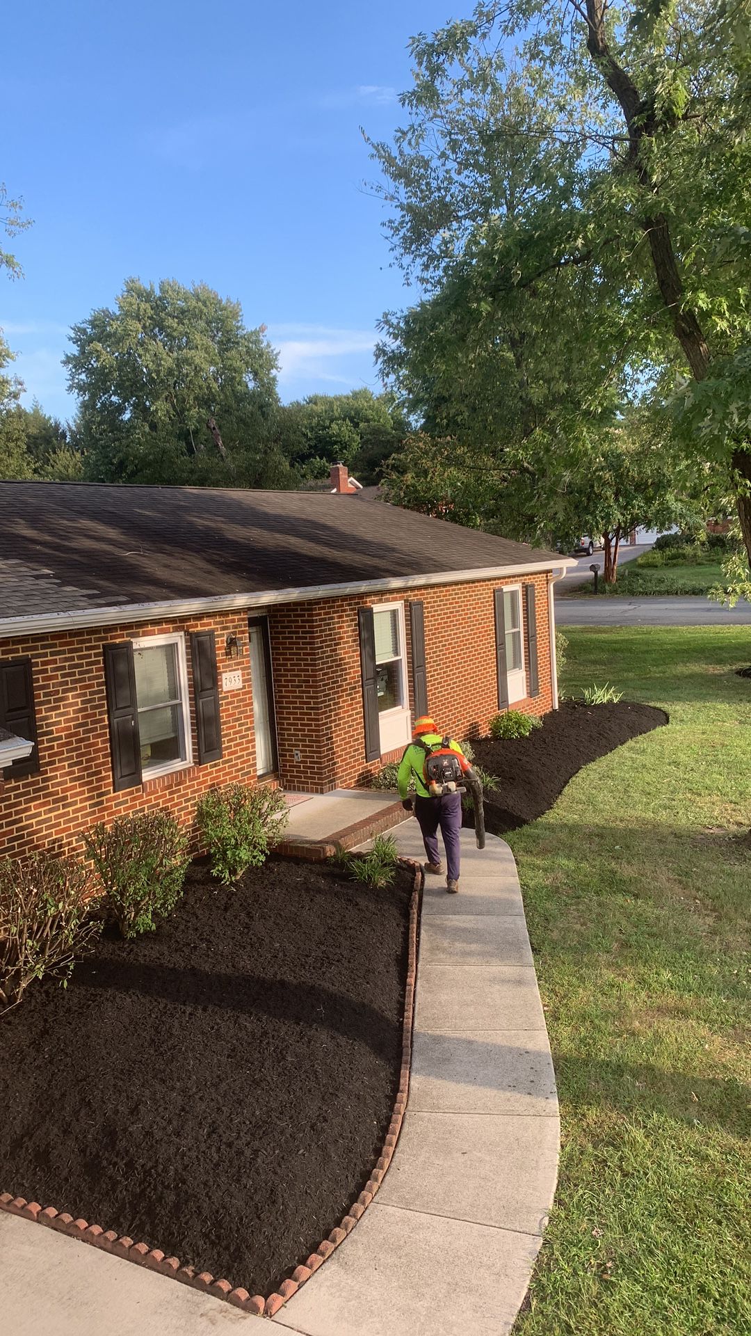 Yard Clean Up