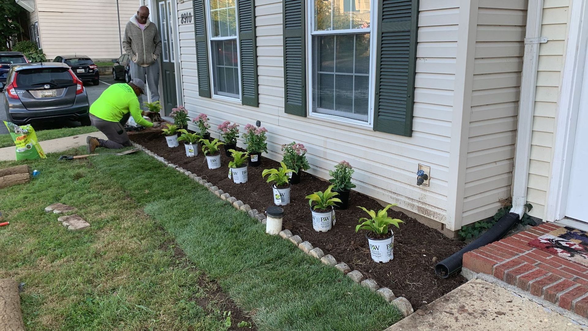 Plant Installation