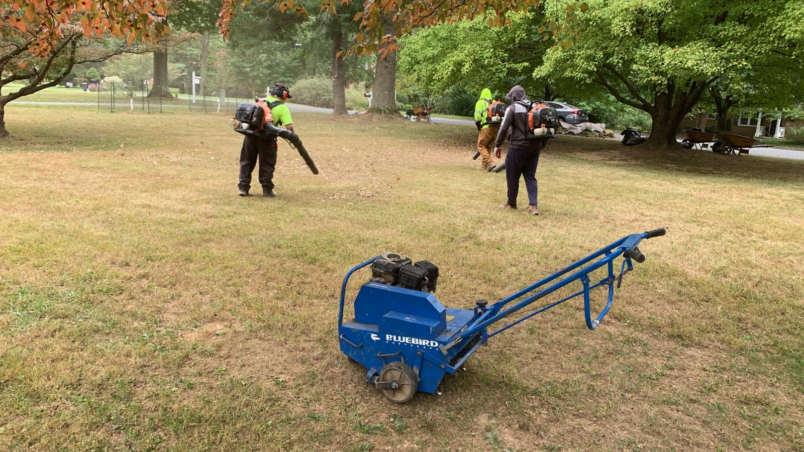 Property Clean Up