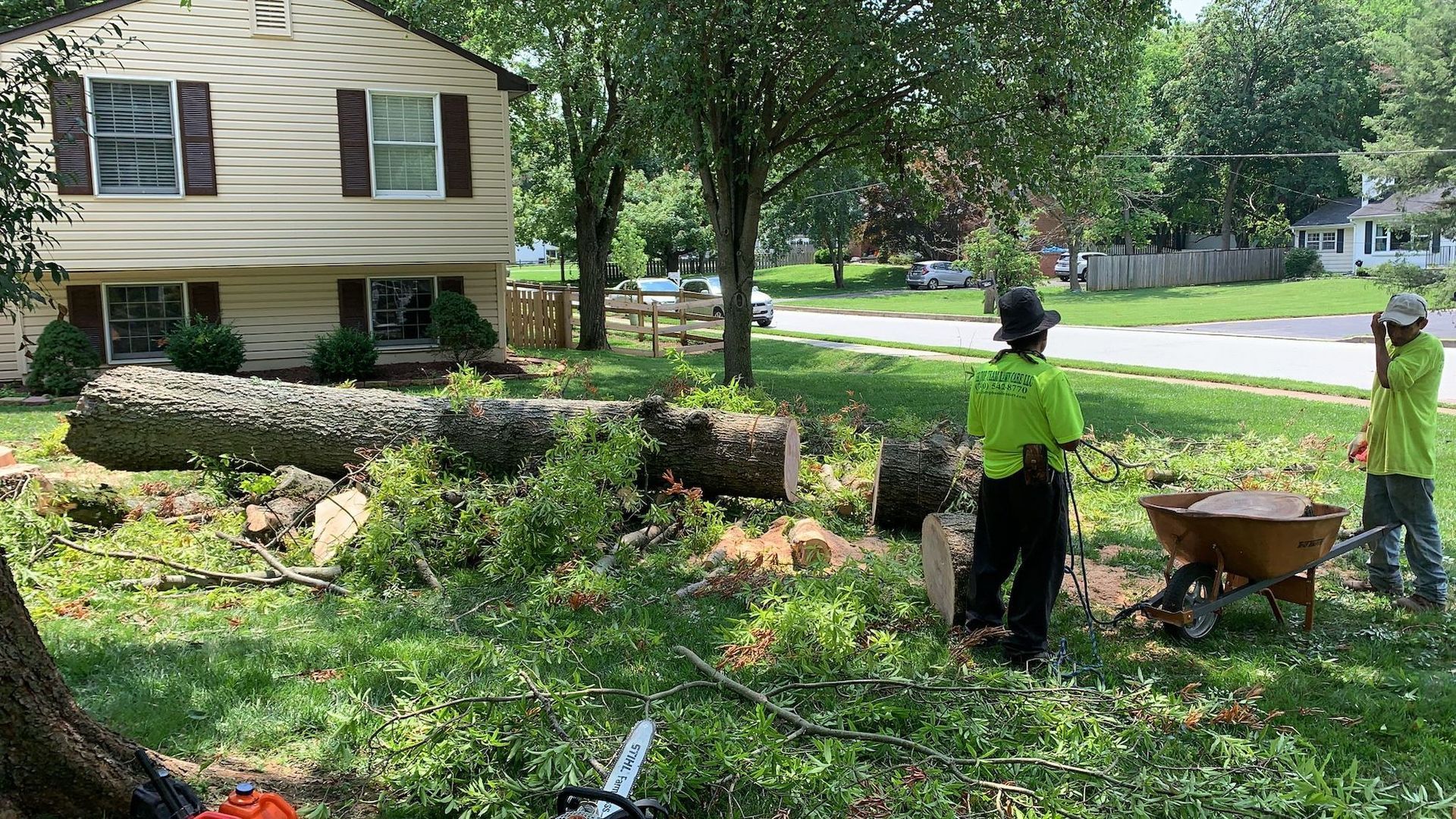 Tree Removal