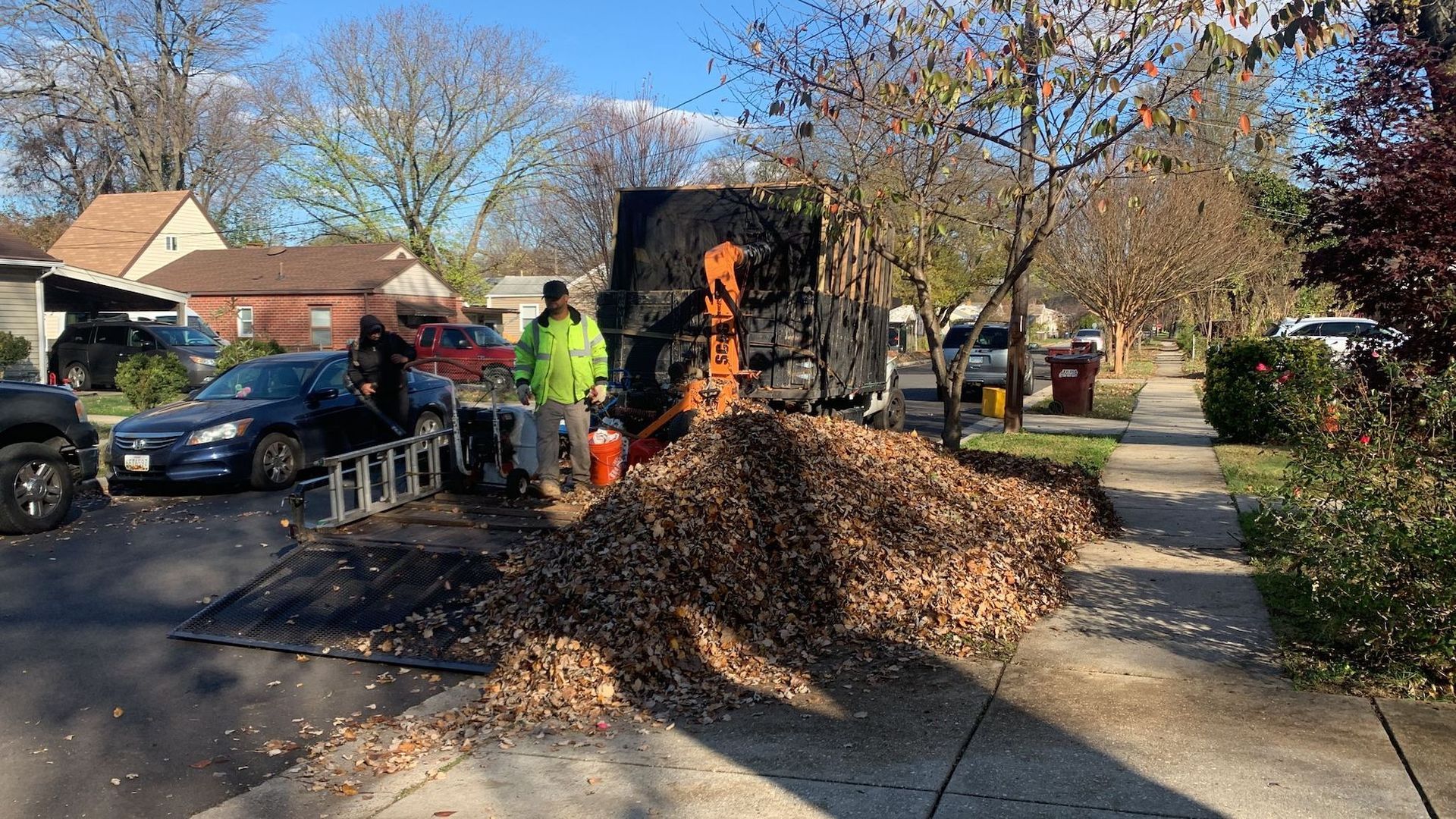 Yard Clean Up