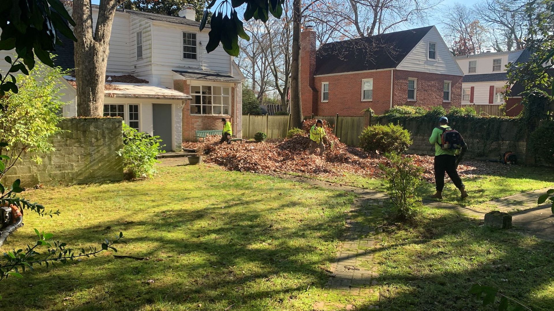 Leaf Clean Up