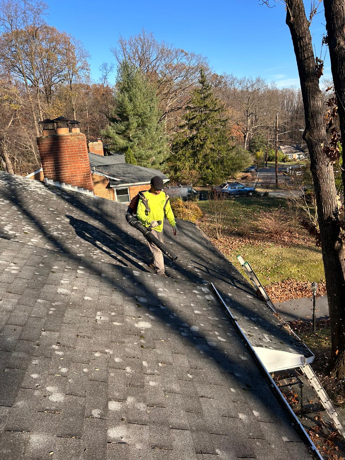 Property Clean Up