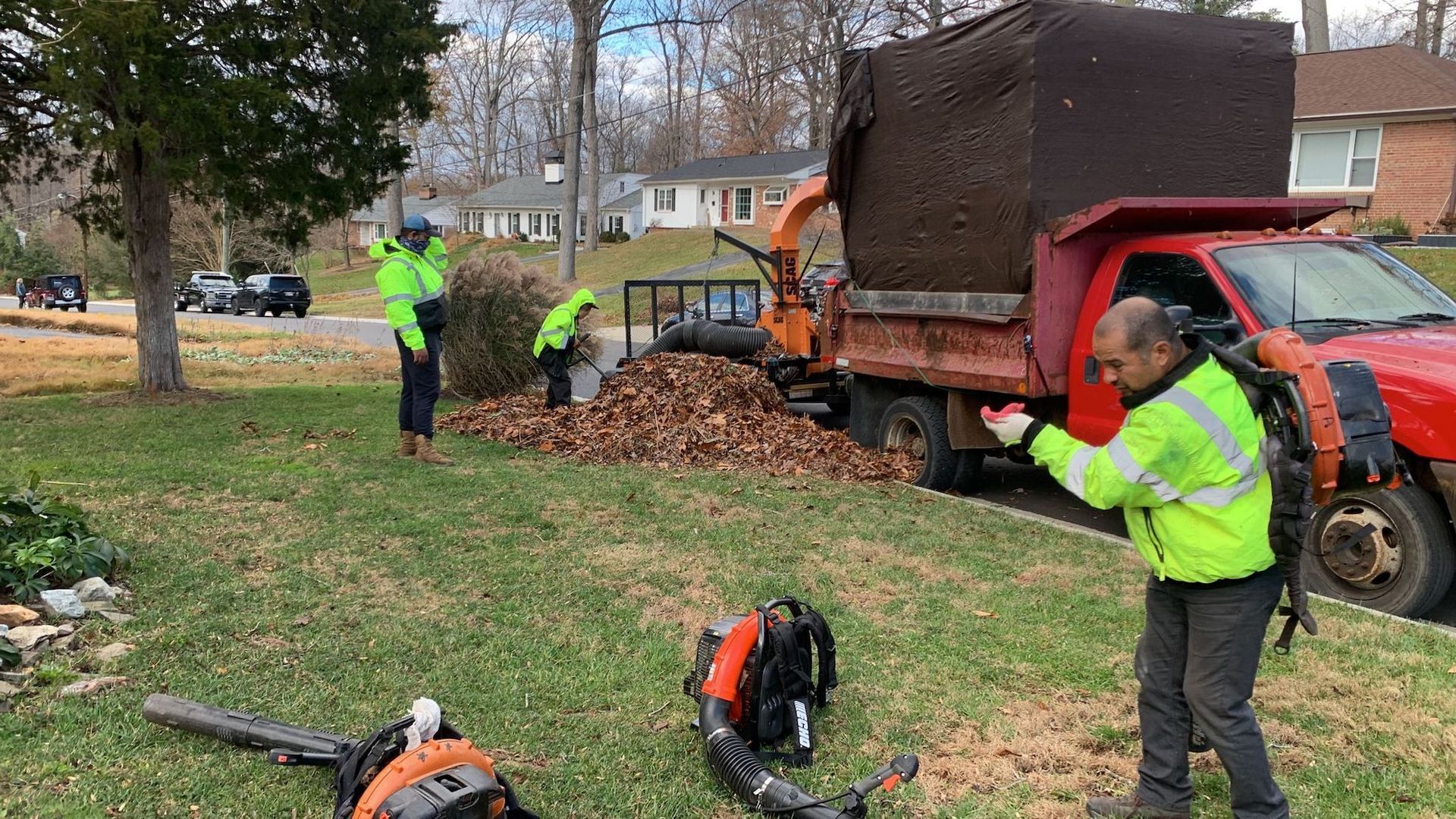 Yard Clean Up