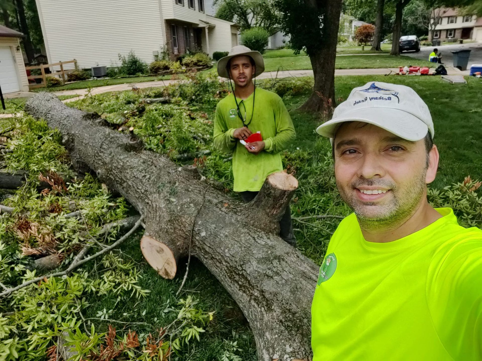 Tree Removal