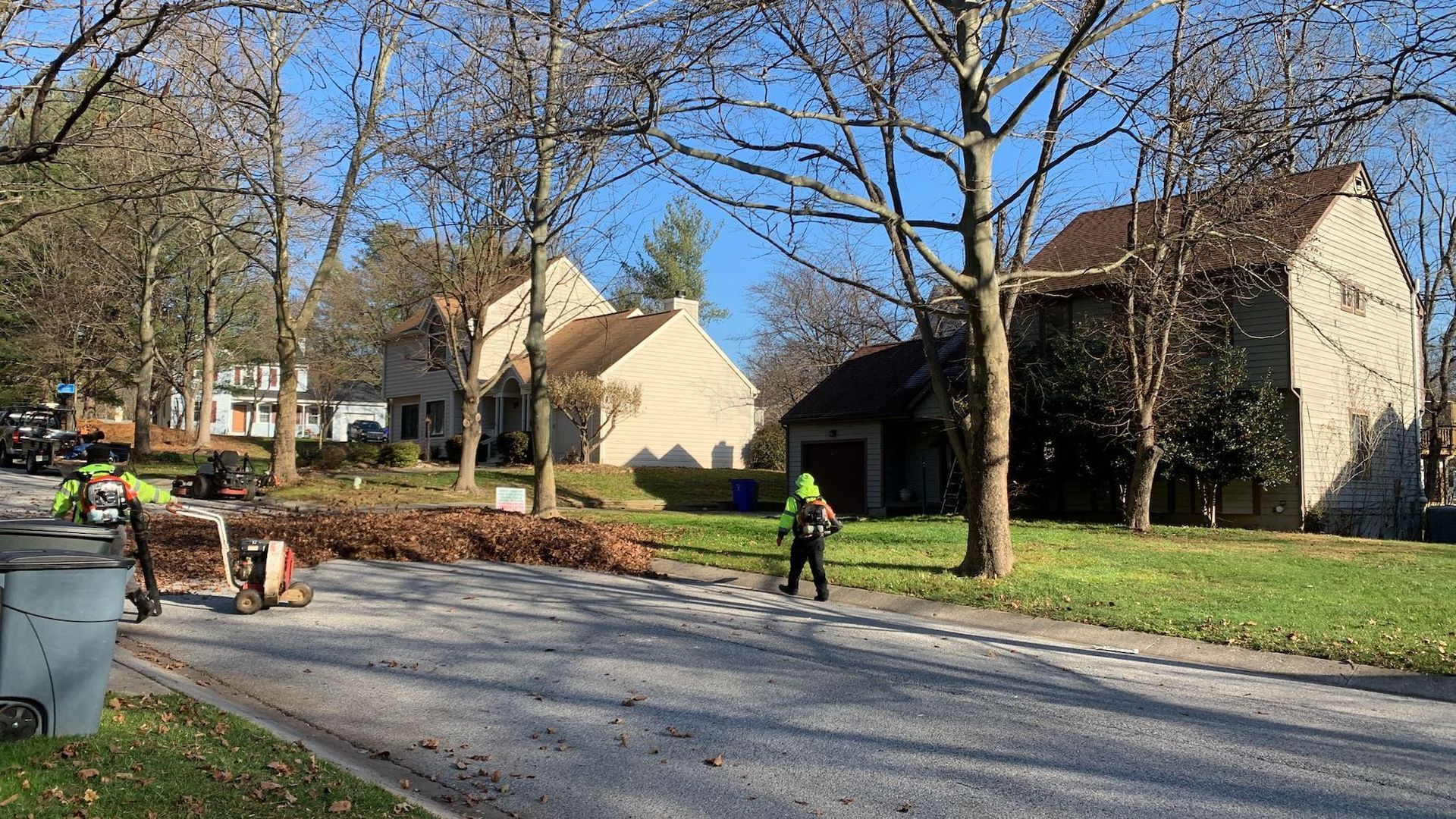 Seasonal Clean Up