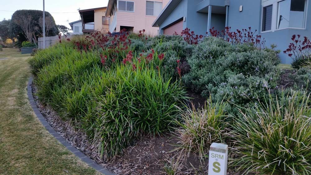 Tall Grass Residential — Wallaroo Landscapes In Nowra, NSW
