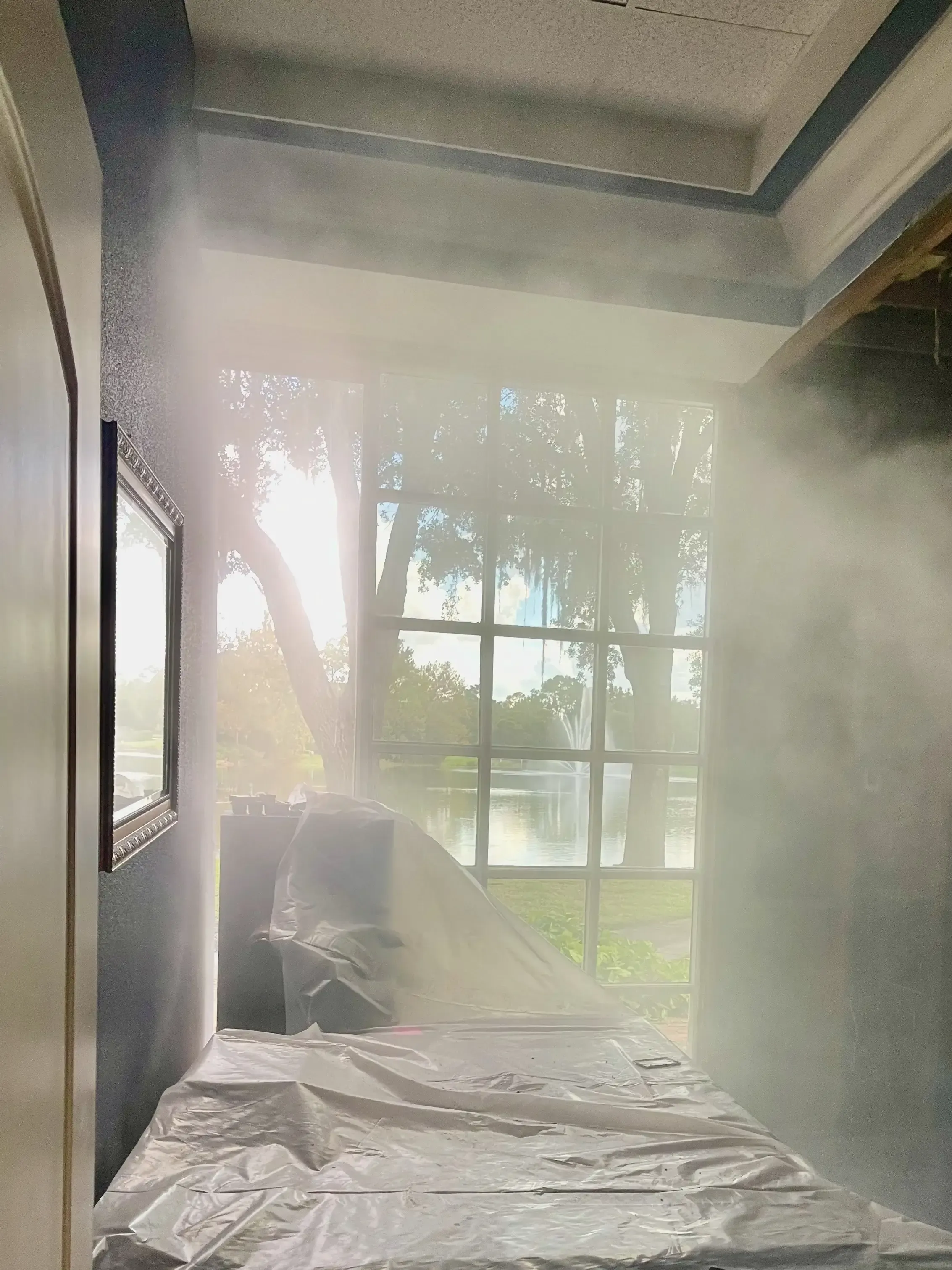 Mold Masters 🦠 | Professional Mold Removal & Testing 🏡 🔍 | North ...