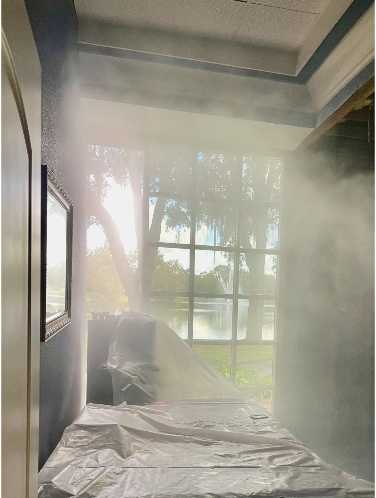 Mold Masters 🌴 Expert Mold Testing & Remediation in Florida🛡️