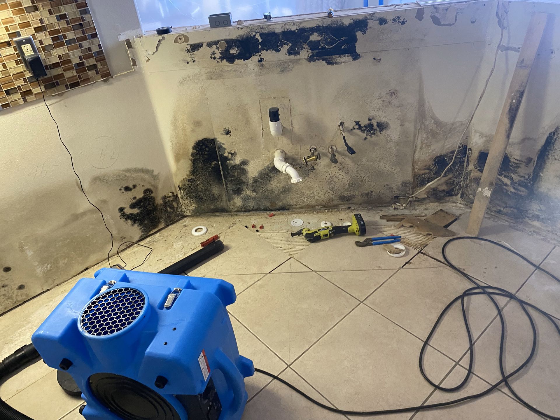 Why You Should Not DIY Mold Remediation