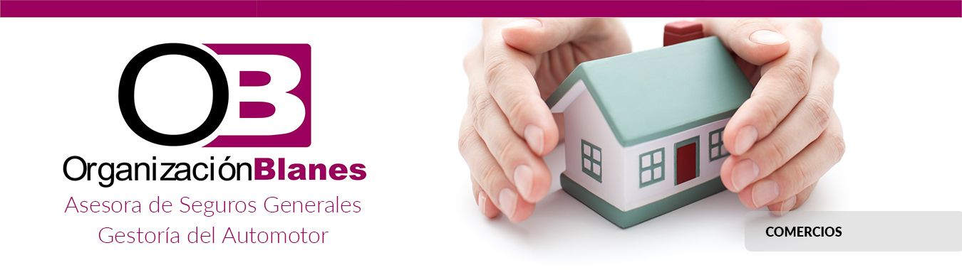 Logotipo de Organización Blanes, que muestra una casa sostenida entre dos manos, simbolizando seguros y protección.