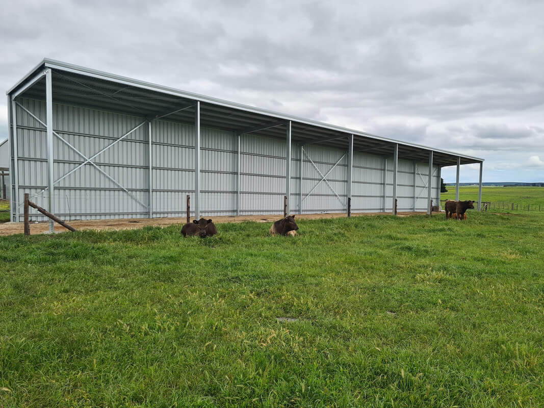 Rural Shed built by Parham Construction in Mount Gambier