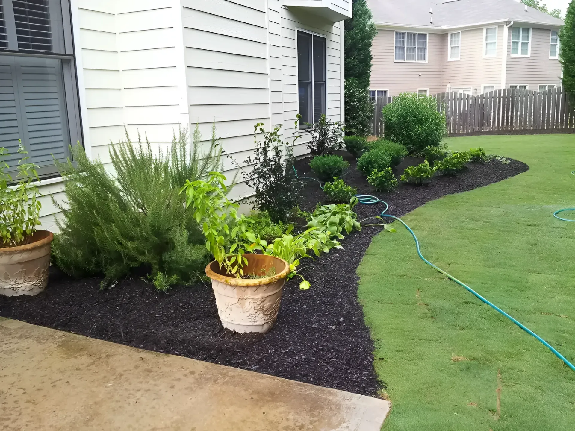 Landscaped garden bed with mulch, potted plants, and a green hose beside a house and lawn