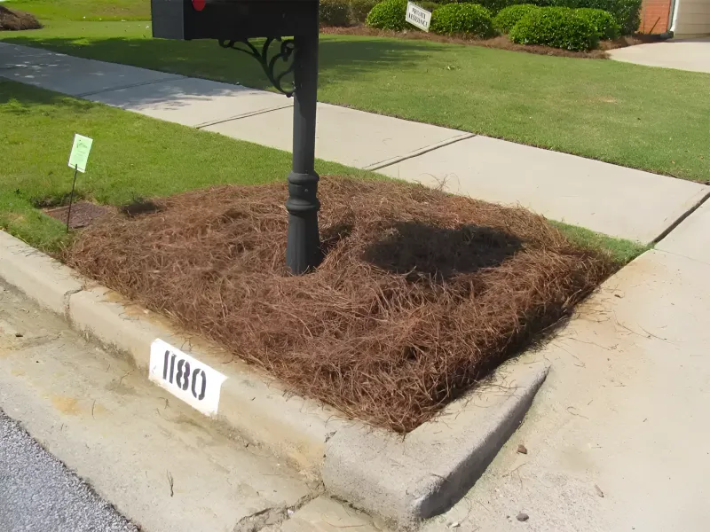 Mulched curbside mailbox bed beside sidewalk and street, with black post and house-number plaque