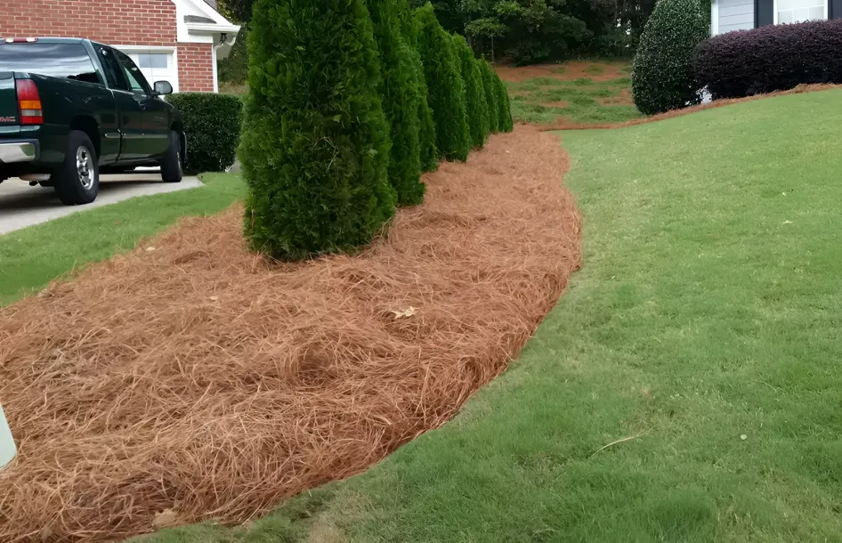 Front yard with curved mulch bed, trimmed evergreen shrubs, and green lawn beside a driveway