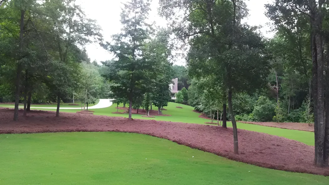 A green park with tall trees and a curved red mulch path under an overcast sky