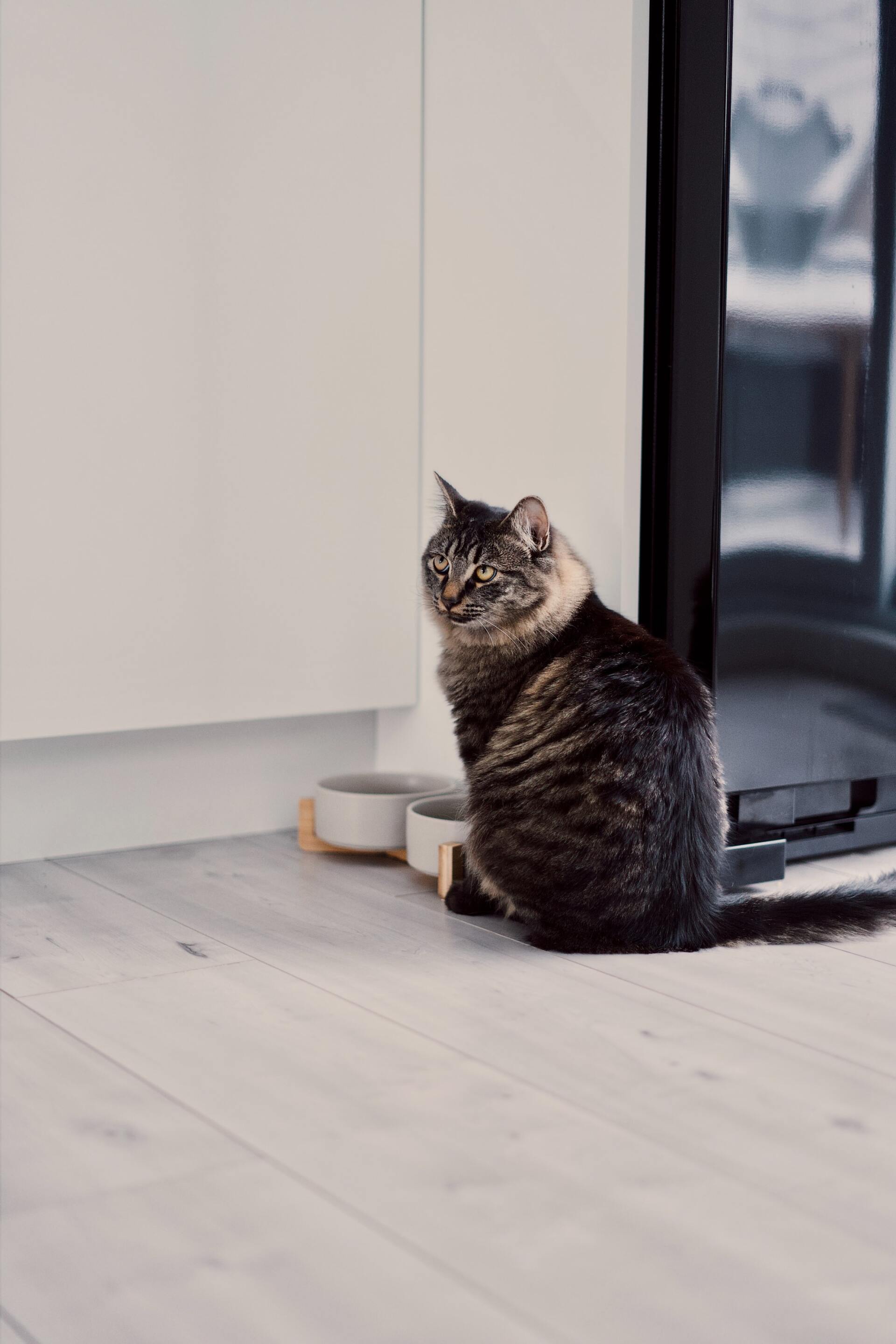 pet food nutritionist in ames ia