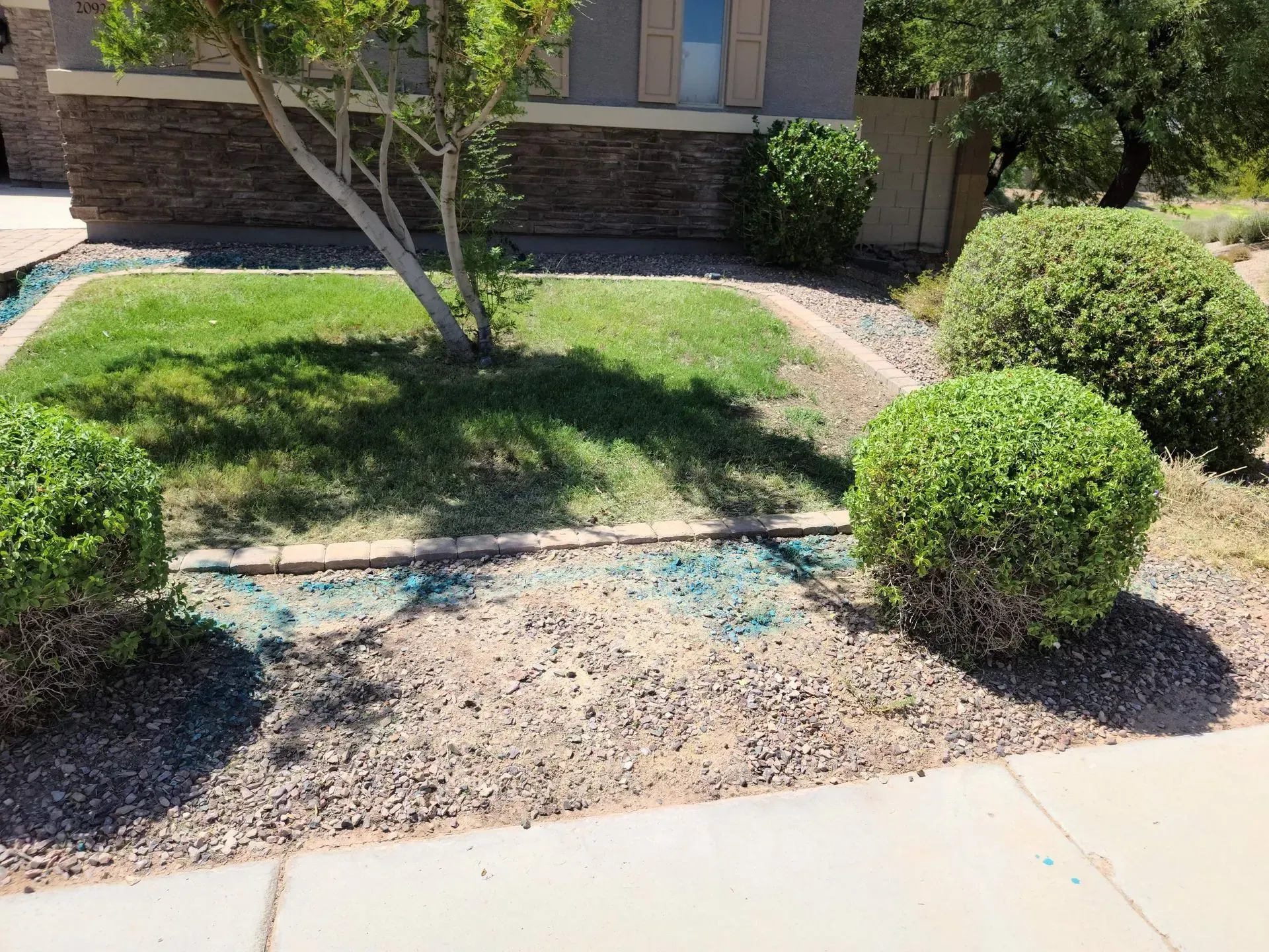 Front yard with patchy grass, gravel, trimmed shrubs, and a tree beside a house walkway