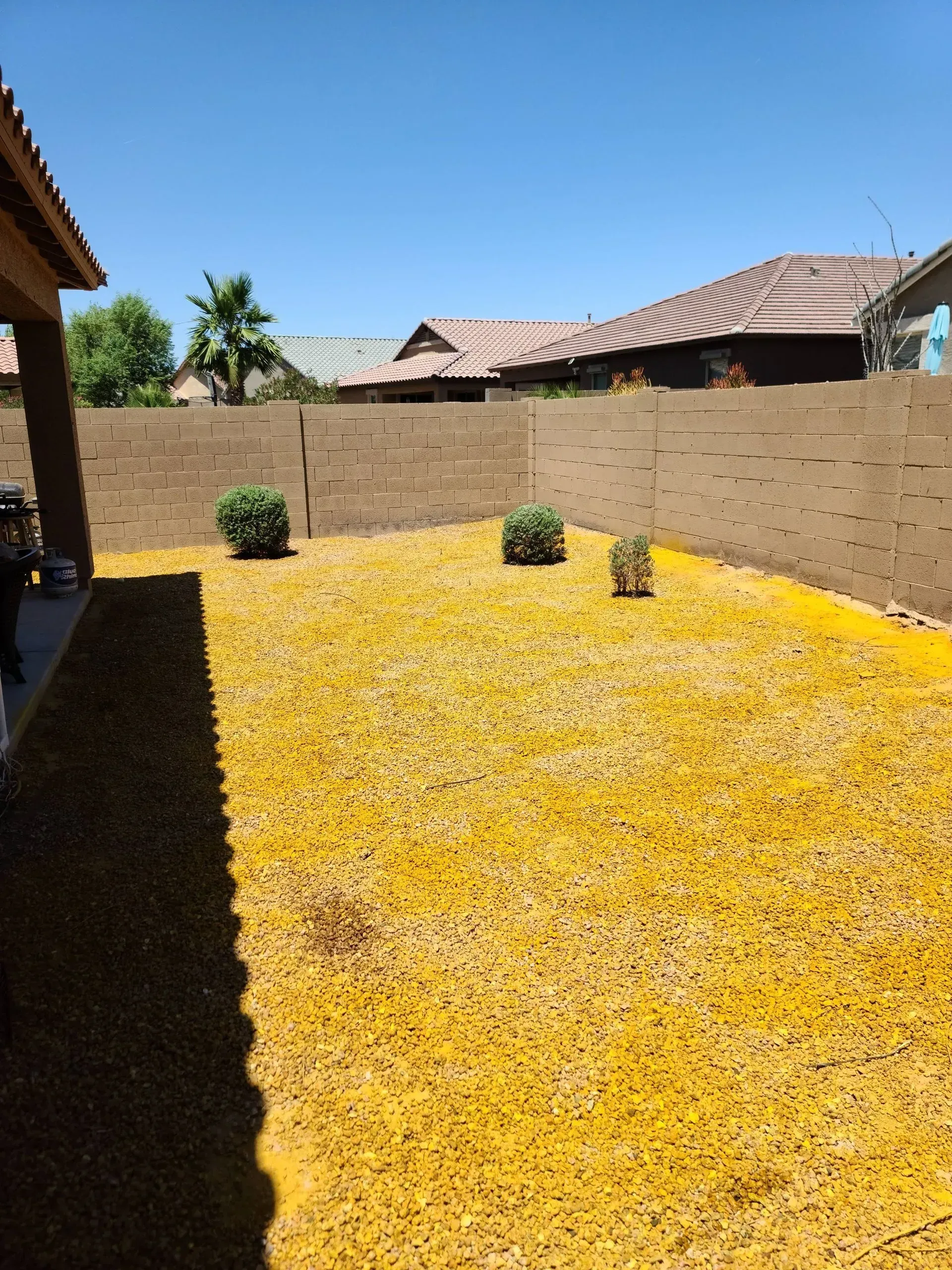 Sunny backyard with a yellow ground cover, brick wall, and tiled-roof houses in the background