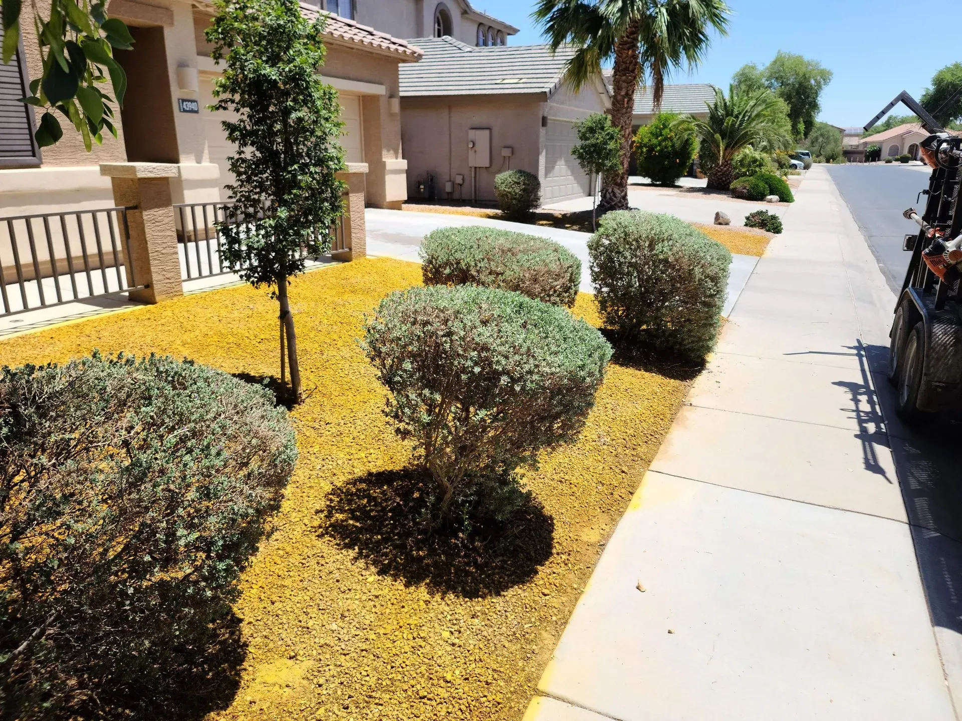 Sunlit suburban sidewalk beside trimmed shrubs and a house with yellow mulch and palm trees