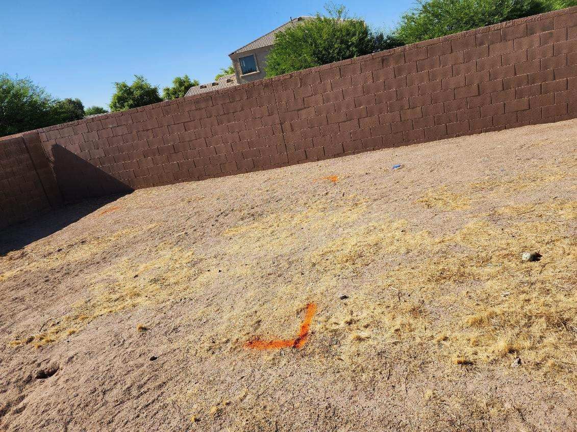 Sunny backyard with a tan gravel surface, brick wall, and a small orange object on the ground.