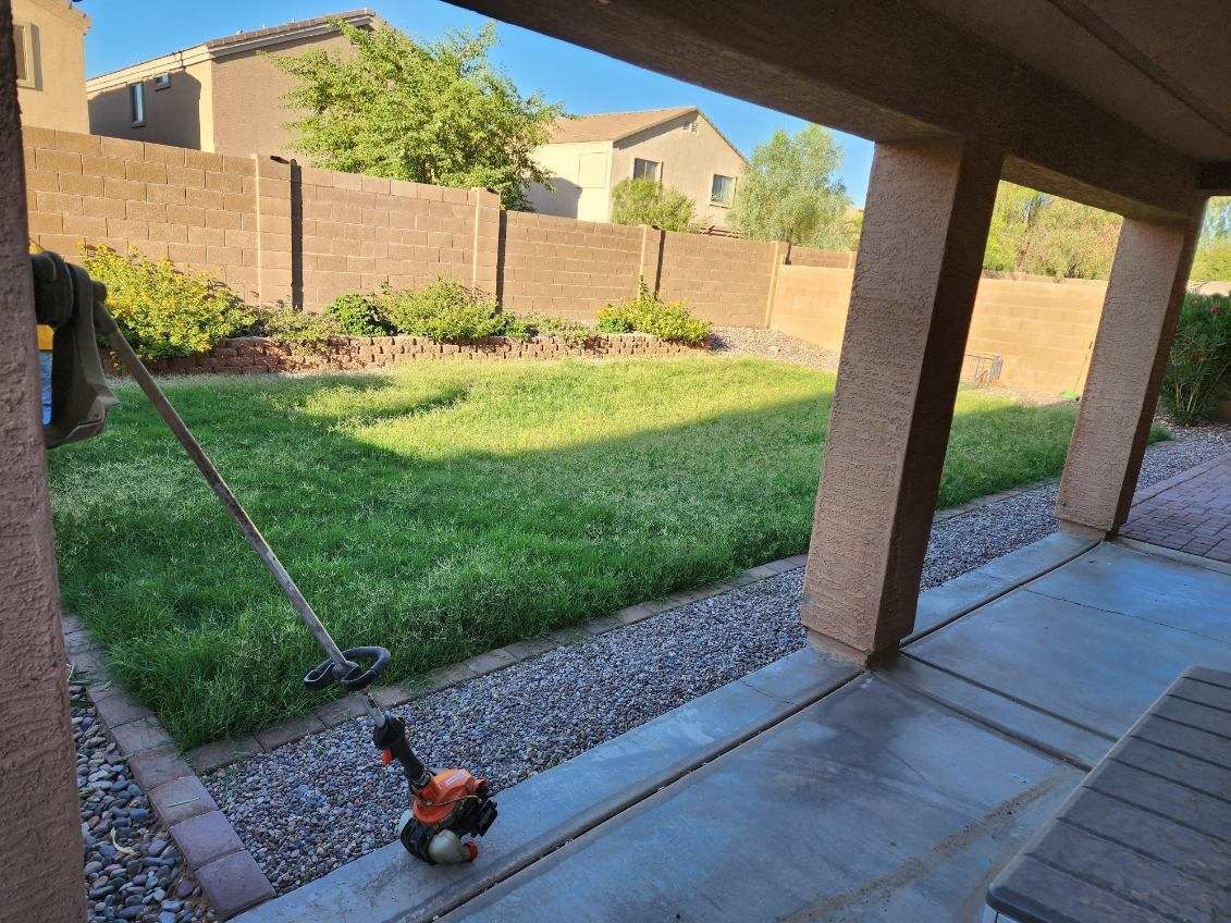 Patio view of a green backyard with a brick wall, desert shrubs, and a string trimmer on the ground