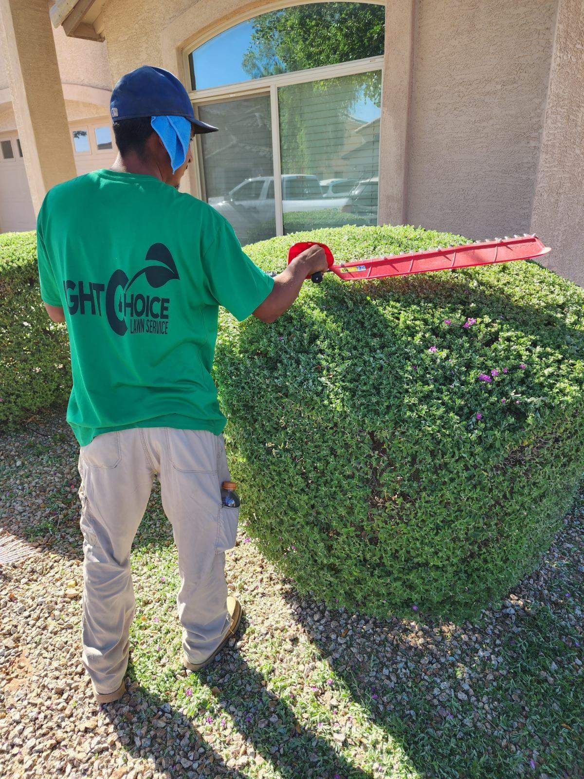 Worker in a green shirt trimming a hedge with red shears beside a house window.