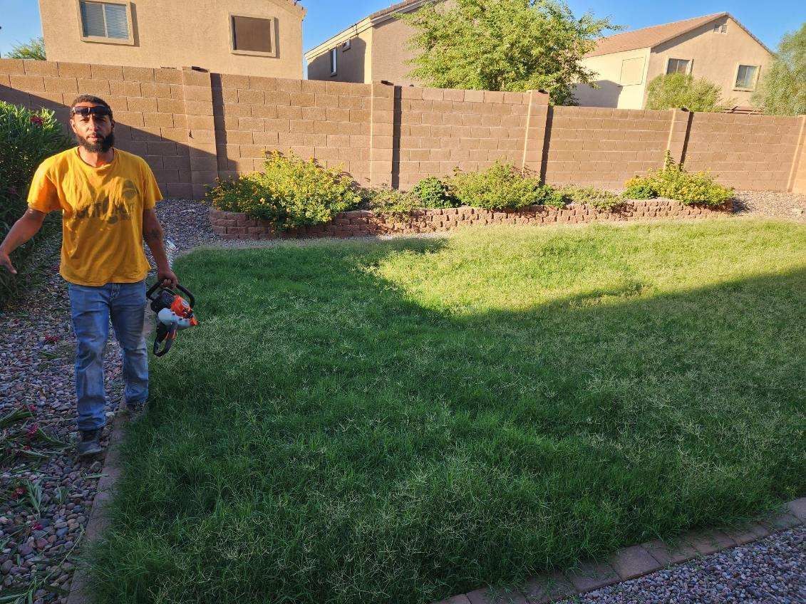 Person in yellow shirt standing in a grassy backyard with a brick fence and houses in the background