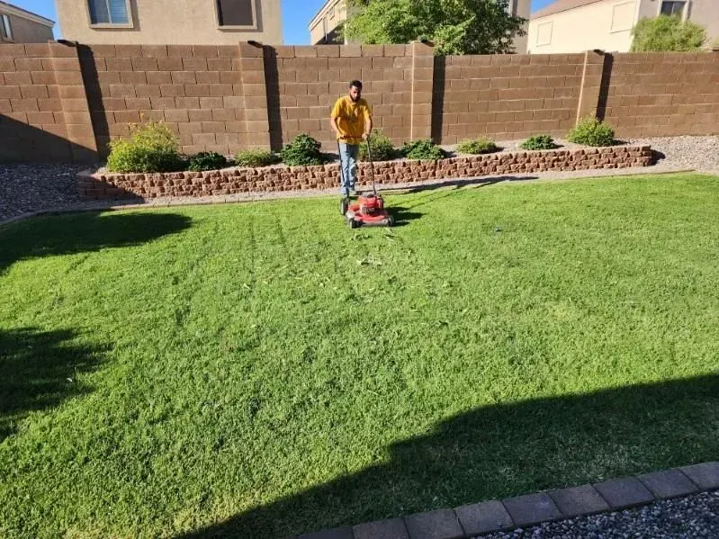 Person mowing a green lawn in a backyard with a brick wall and desert landscaping.