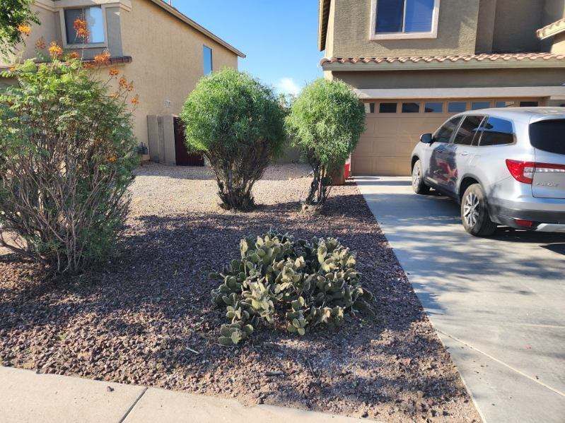 Front yard with desert landscaping, shrubs, and a parked SUV beside a driveway.