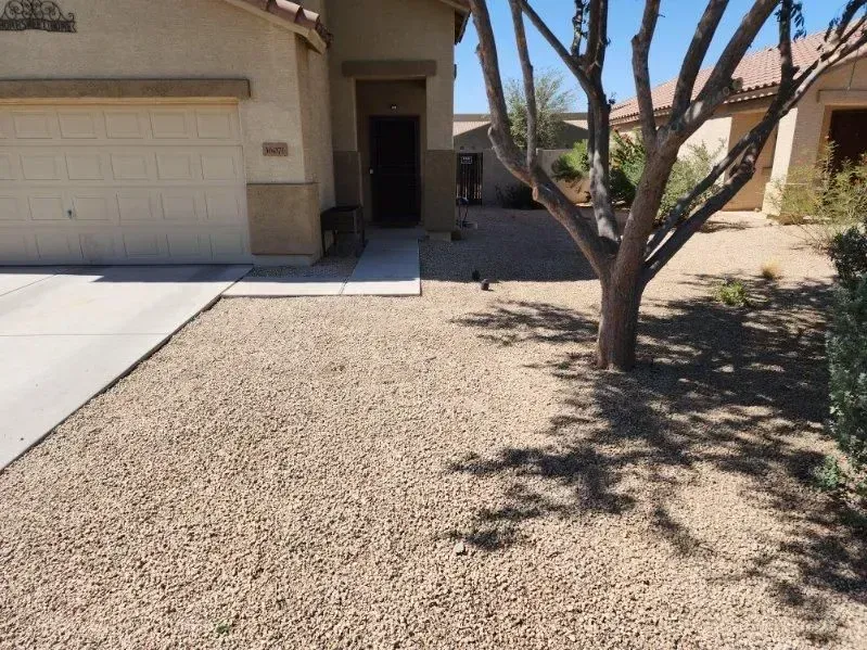 Desert-style house front yard with gravel landscaping, a driveway, and a leafless tree in the foreground