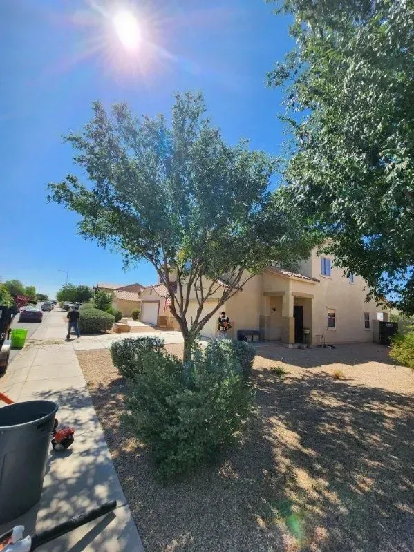 Sunny suburban yard with a two-story beige house, trees, shrubs, and a walkway under a clear blue sky.