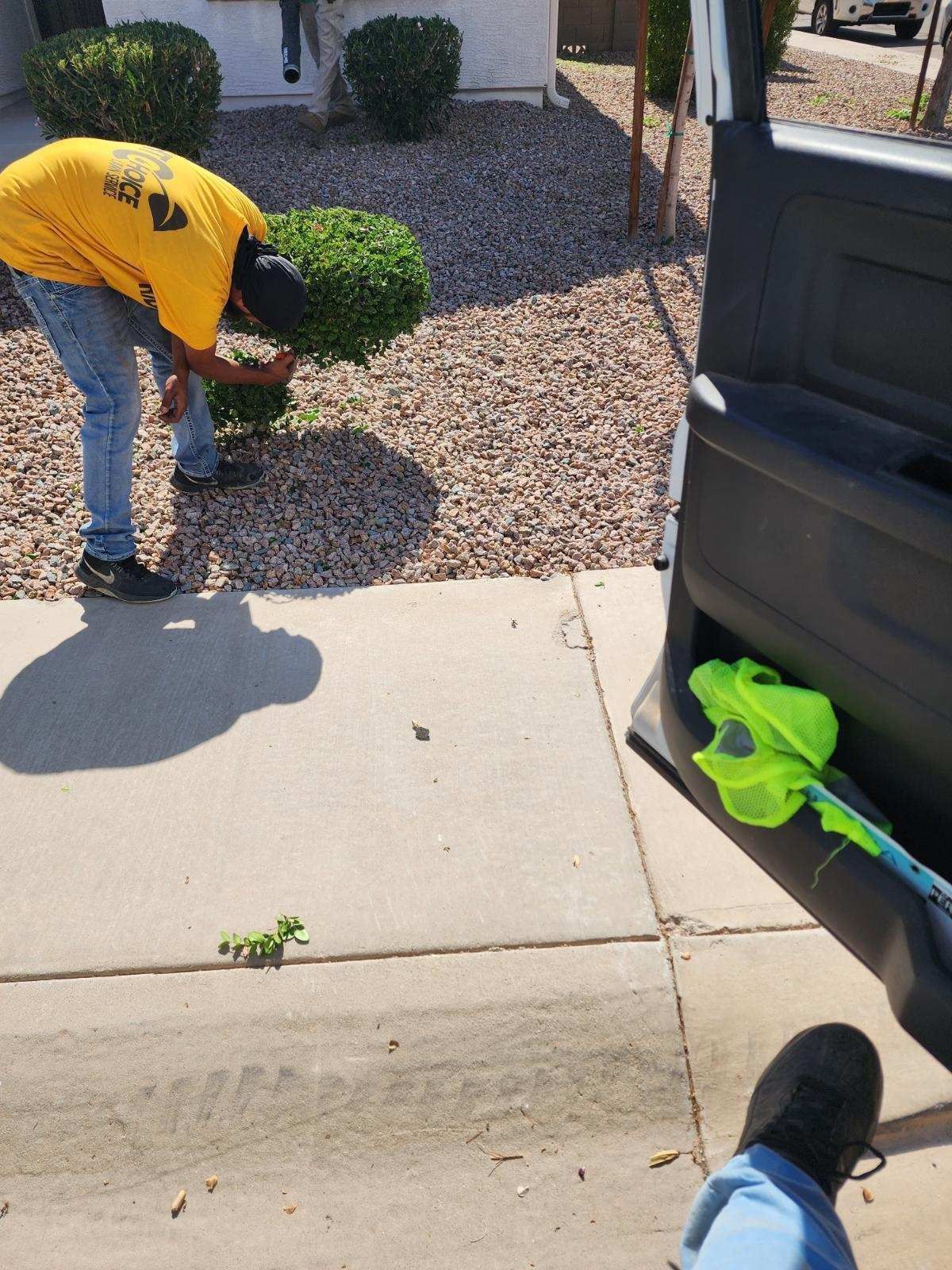 Worker in yellow shirt bending near sidewalk beside an open car door and landscaping rocks.