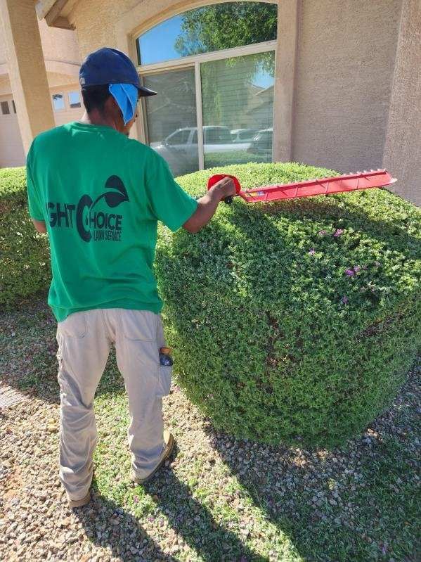 Worker trimming a hedge with red hedge trimmers beside a house.