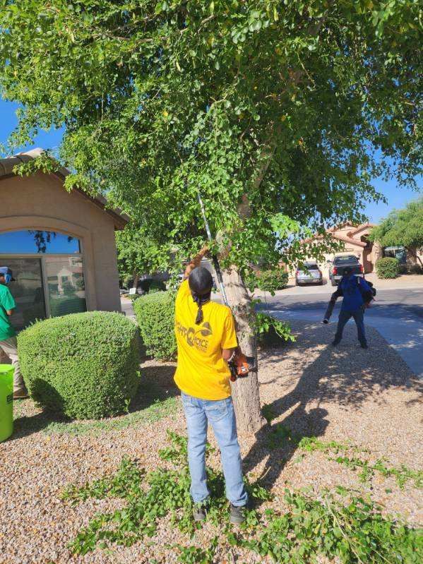 Person in yellow shirt stands under a tree in a sunny neighborhood sidewalk scene.