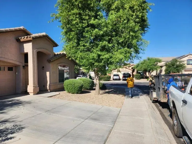 Suburban sidewalk with parked cars, a tree, houses, and a trash bin on a sunny day