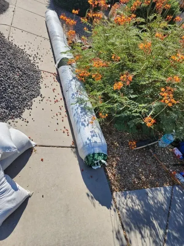 Rolled-up gray tarp beside orange-flowering shrubs on a concrete walkway