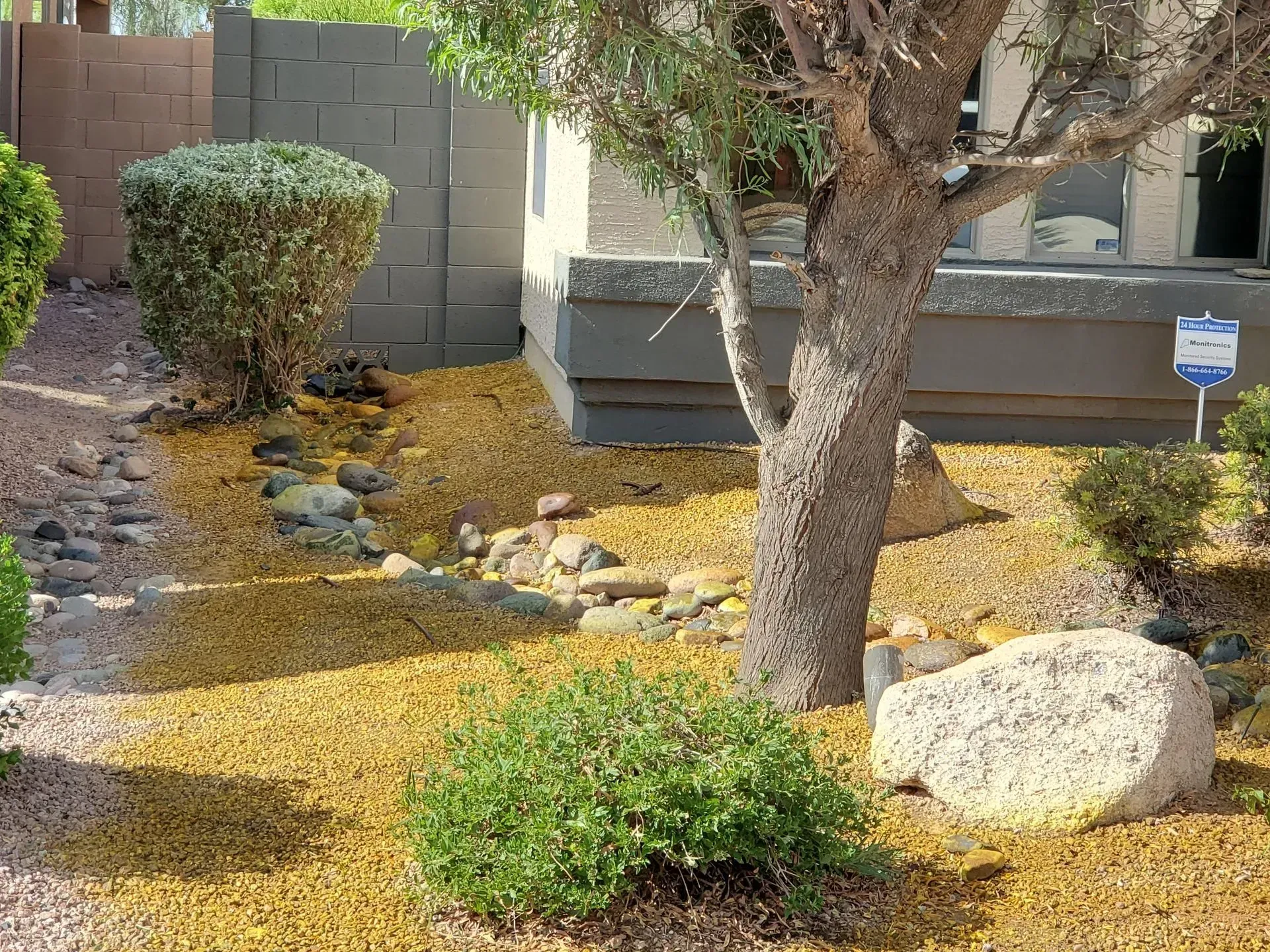 Desert front yard with a tree, shrubs, rocks, and a gravel landscape beside a house