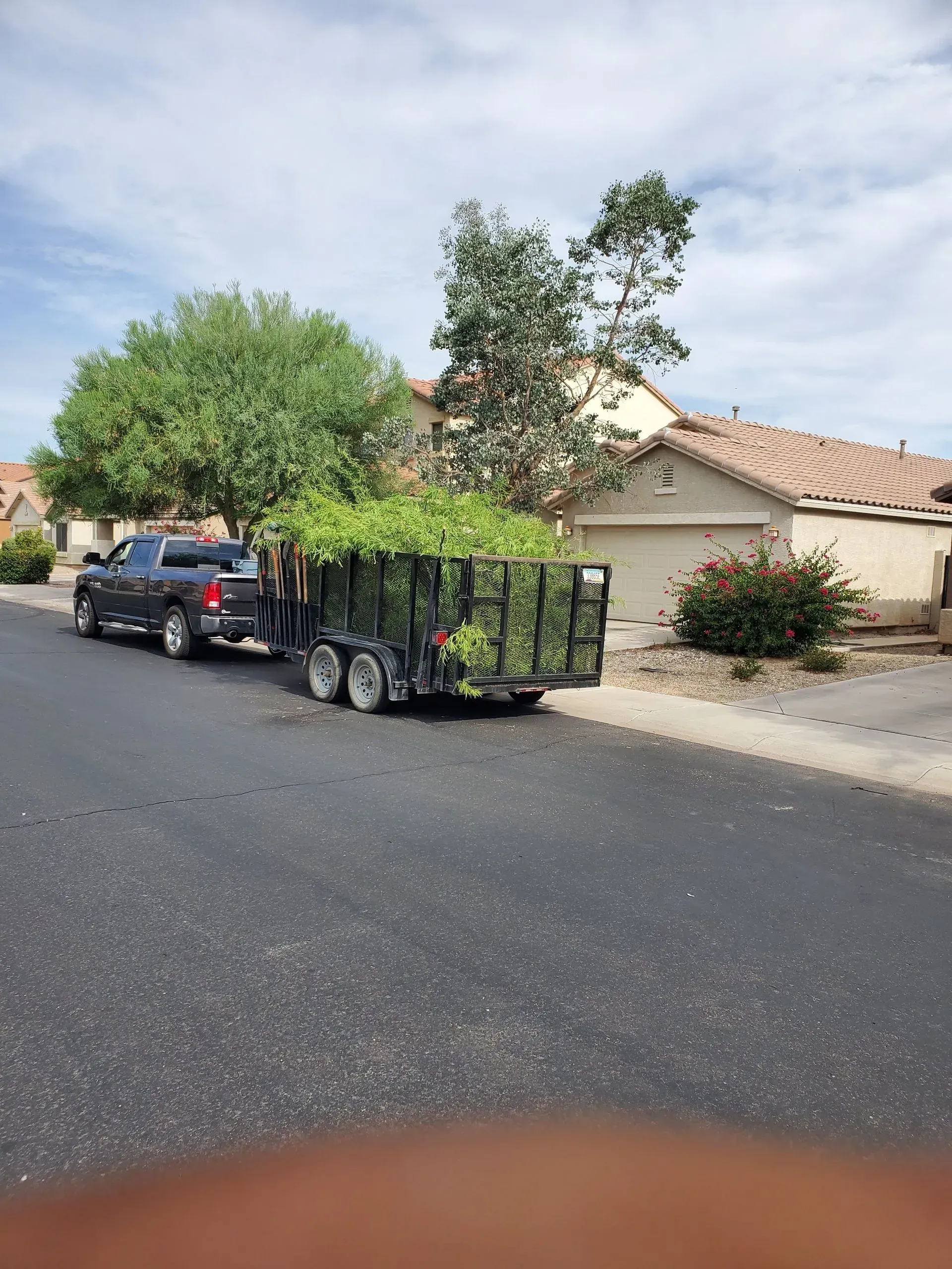 Pickup truck towing a trailer stacked with green plants on a residential street, with houses nearby.