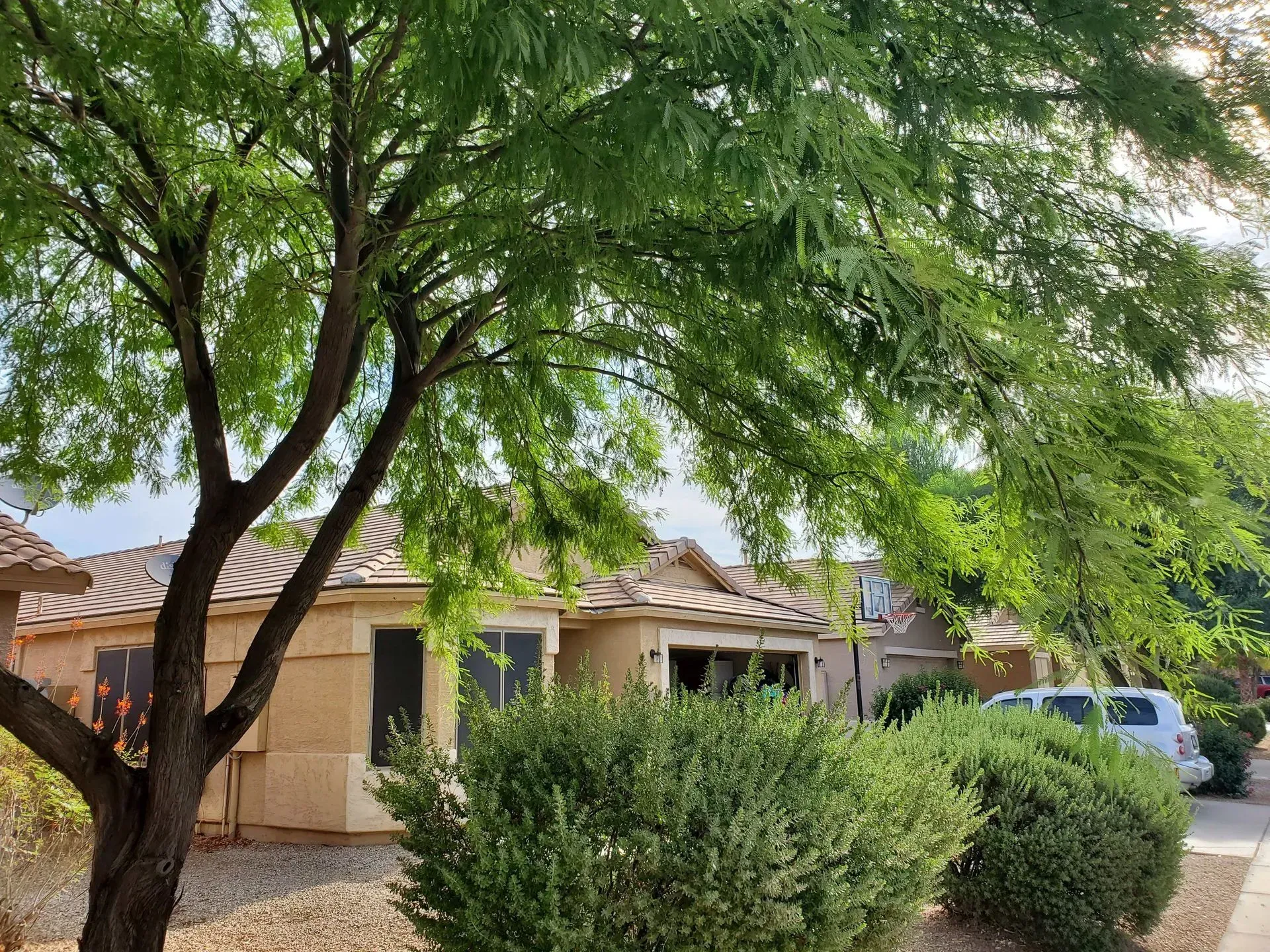 Tree-shaded beige house with bushes and a parked white pickup in the yard