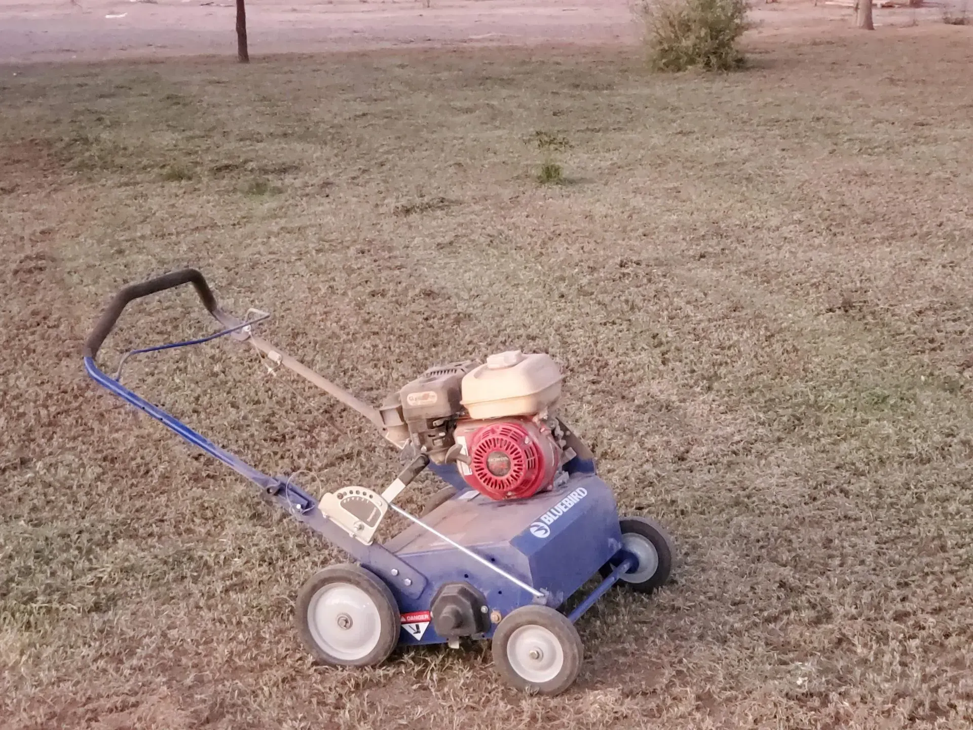 Blue push lawn mower on a grassy field, with a red engine and black handle.